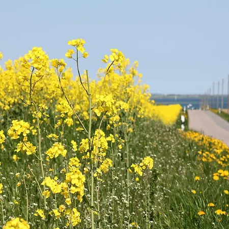 Comfortable In Quaint Village Apartman Barlin