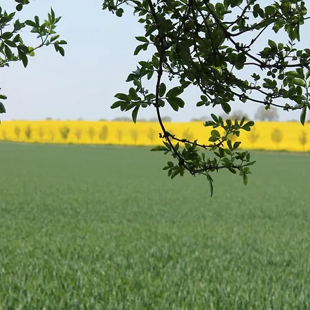 Comfortable In Quaint Village Apartman