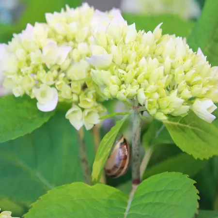 Apartman Comfortable In Quaint Village *